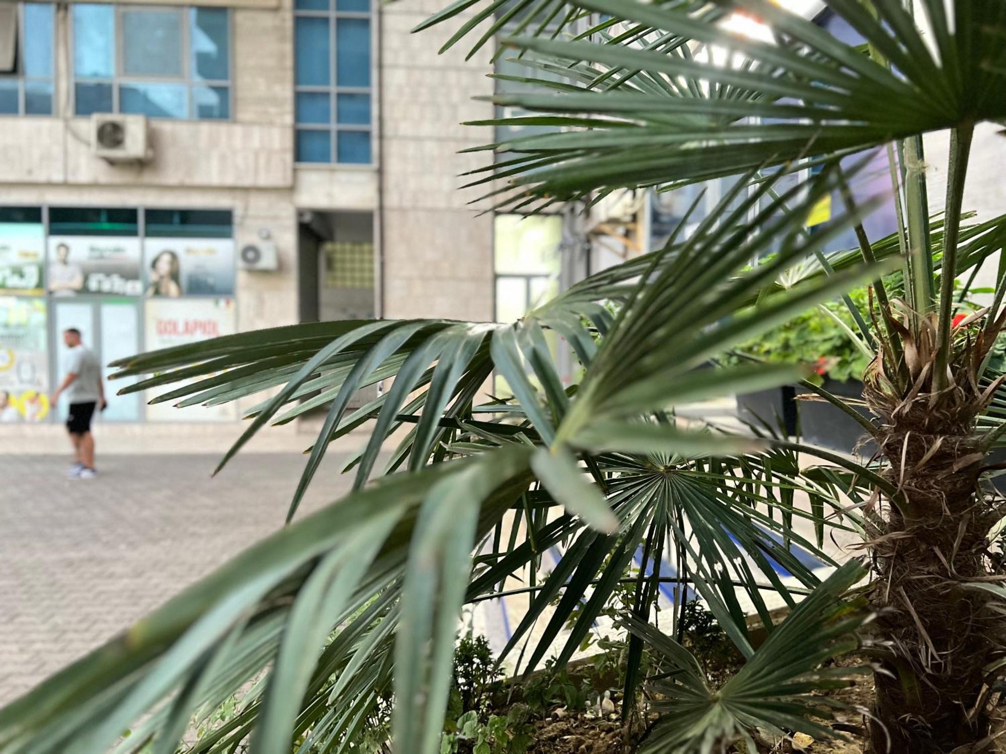 New Baazar Terrace Apartment Tiranë Ngoại thất bức ảnh
